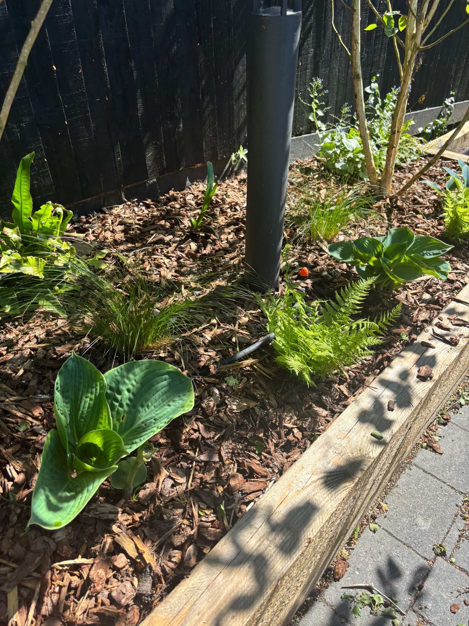 Plant Supply and Sourcing